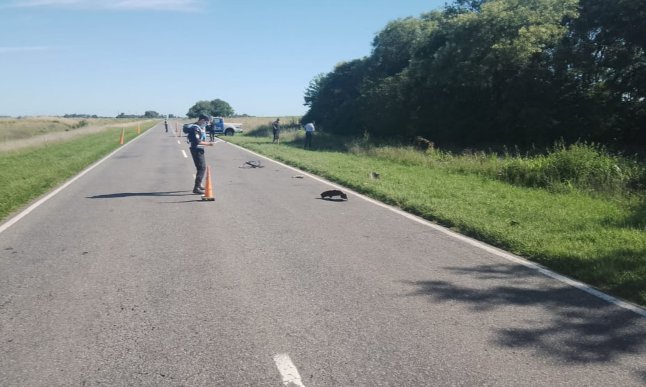 Juicio abreviado por las muertes de los ciclistas