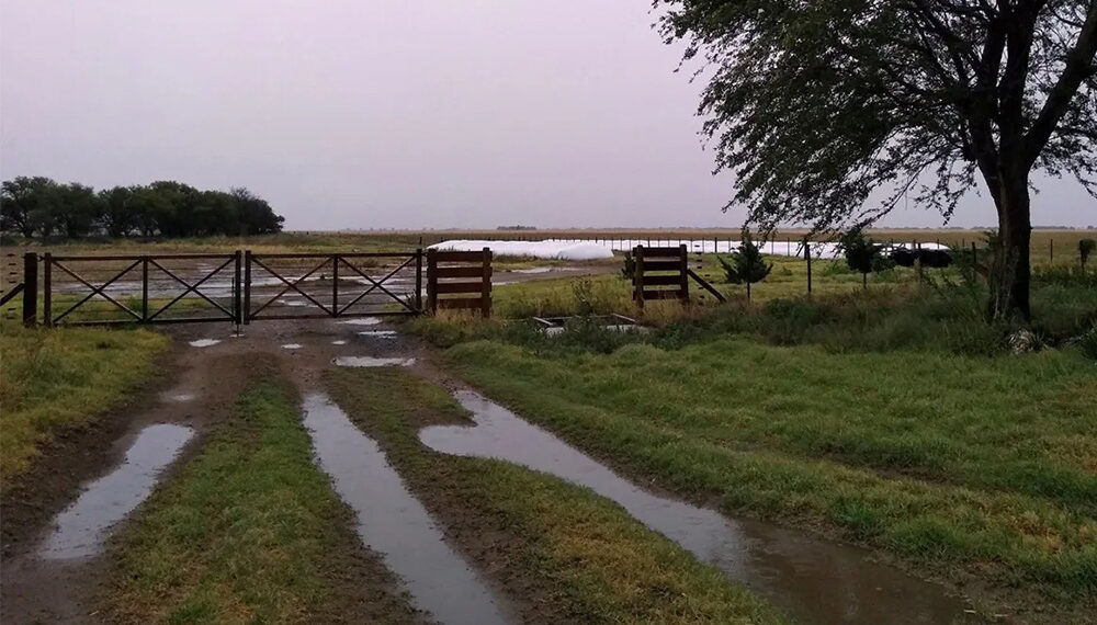 La semana de lluvia generó alivio en el campo de cara a la siembra gruesa