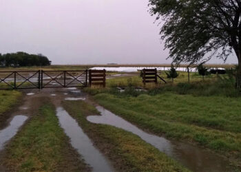 La semana de lluvia generó alivio en el campo de cara a la siembra gruesa