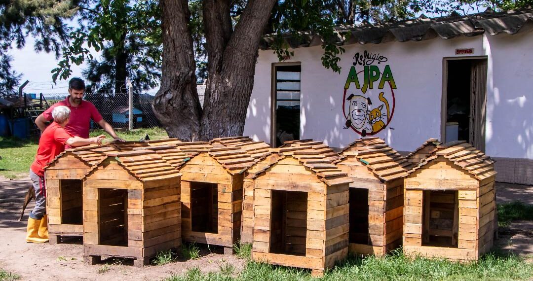 El Refugio de AJPA recibió veinte nuevas cuchas