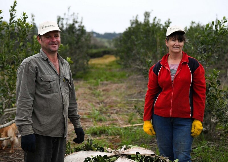 RENATRE aumenta la prestación por desempleo para trabajadores rurales a $70.200