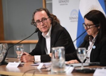 Anses: el titular designado habló de “hacer cambios” para que “sea más justo y sustentable”