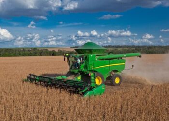 Aumentaron las lluvias en noviembre y hay esperanza de una campaña de soja “superadora”