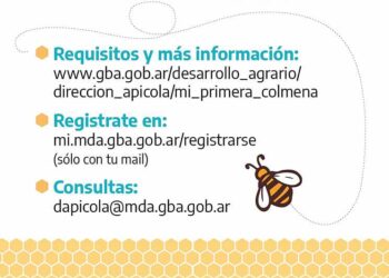 Lanzan la segunda convocatoria al programa Mi Primera Colmena