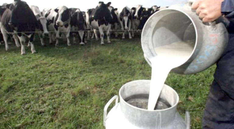 Lácteos e inflación: cuánto cuesta en realidad el litro de leche