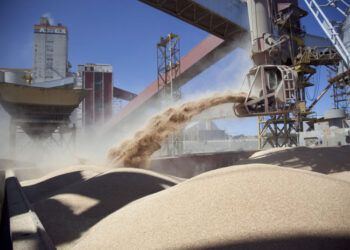 Las lluvias traen alivio y otro panorama para el maíz y la soja