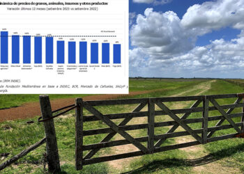 Aseguran que en el campo los insumos subieron hasta un 234%