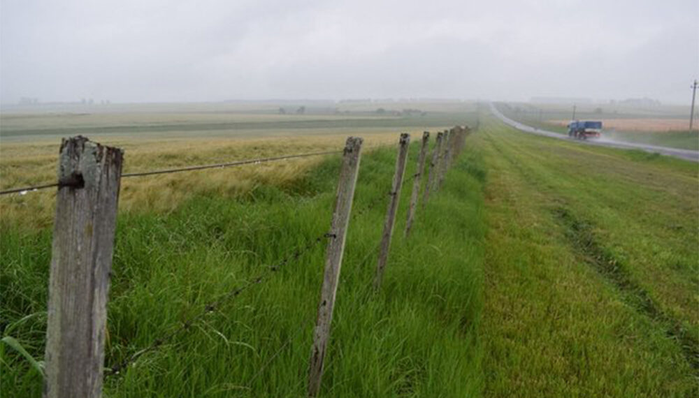 Lluvias: ¿Dónde se registraron las mayores precipitaciones?