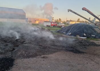 Incendio en el Parque Industrial: rápida  respuesta del Cuartel de Bomberos