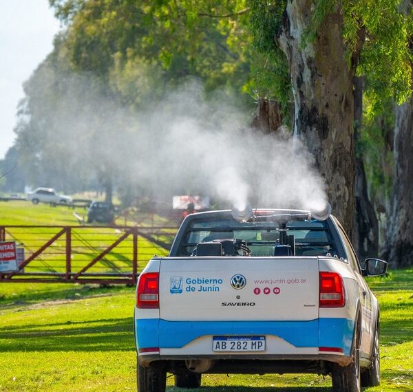 Controles de foco contra los mosquitos