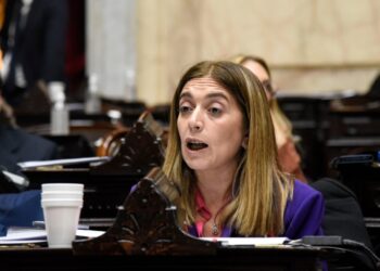 DNU: Tavela reclamó extraordinarias en el Congreso y apuntó a Milei