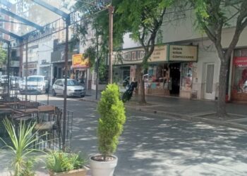 En noviembre se dio de alta a 24 nuevos comercios en Junín