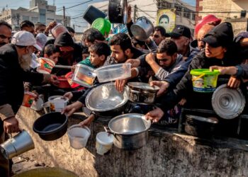 La OMS denunció que hubo casi 500 ataques a  instalaciones médicas en Gaza y Cisjordania