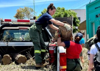 La campaña solidaria impulsada por Ginóbili ya recaudó cinco millones de dólares