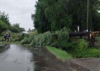 El temporal de lluvia y viento provocó destrozos y afectó a 48 distritos