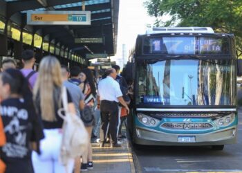 Colectivos en AMBA: empresas  afirman que se normalizará el servicio