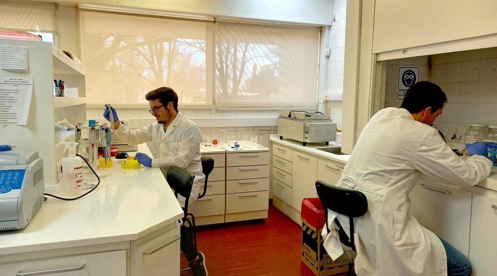 Oportunidades de intercambio con la Unión Europea para equipos de investigación de la UNNOBA