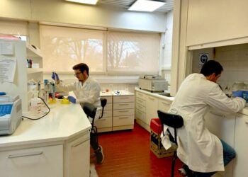 Oportunidades de intercambio con la Unión Europea para equipos de investigación de la UNNOBA