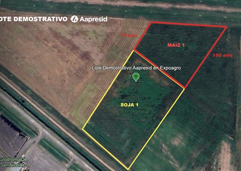 Aapresid sorprenderá con un plot demostrativo en Expoagro