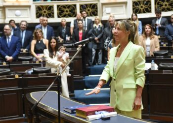 Silvina Vaccarezza juró como diputada provincial