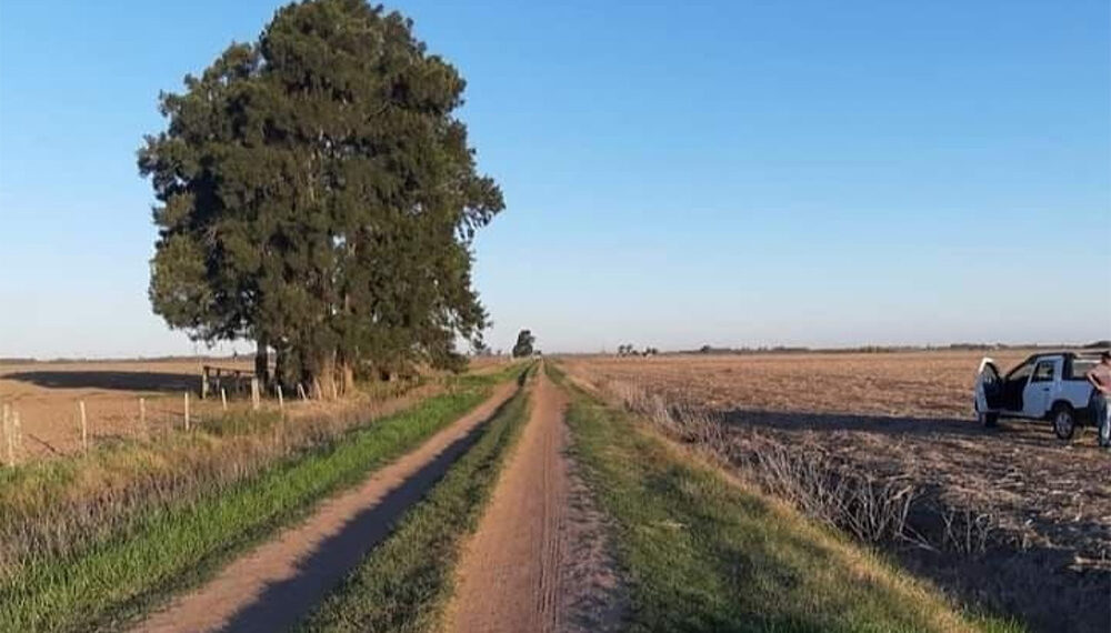 Junín: Estudian el peso del alquiler de campo en los productores de soja