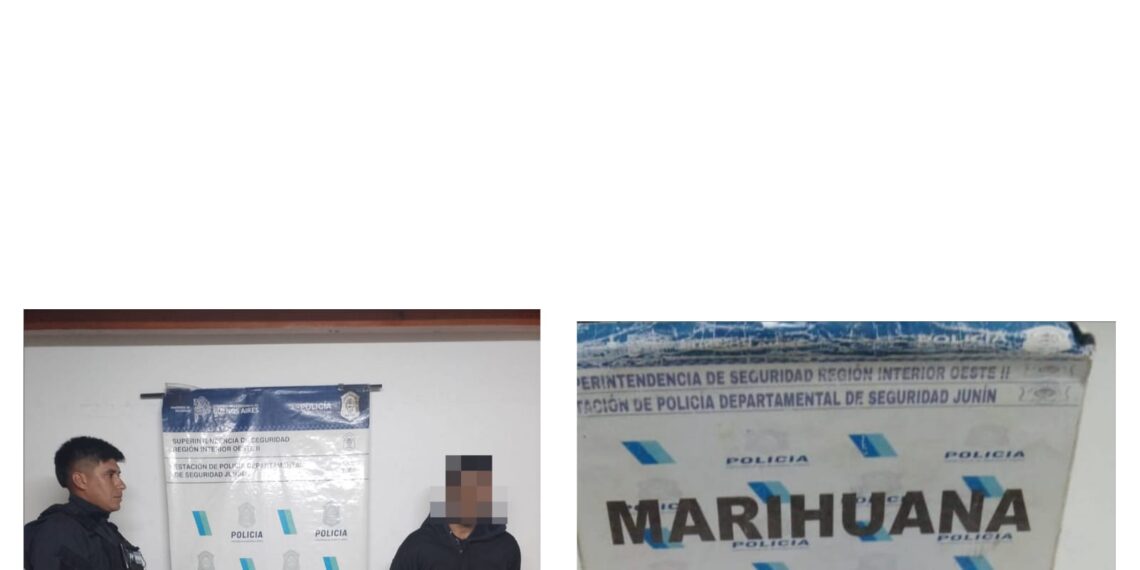 Aprehendidos y detenidos por delitos varios