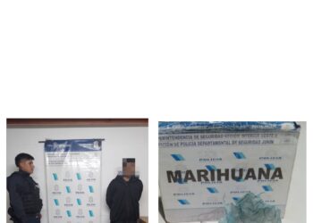 Aprehendidos y detenidos por delitos varios