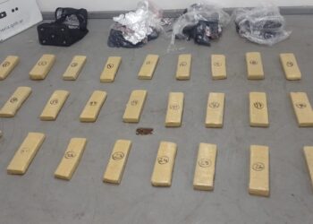 Operativo “Marihuana fría”: secuestraron más de 19 kilos de estupefacientes