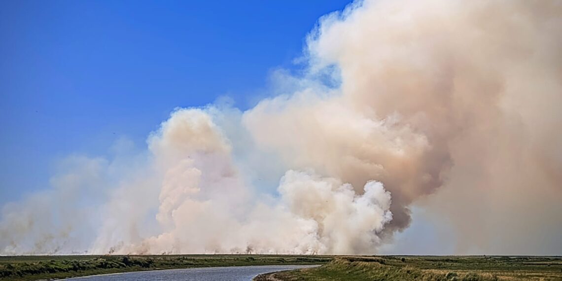 Hectáreas de trigo afectadas por un incendio