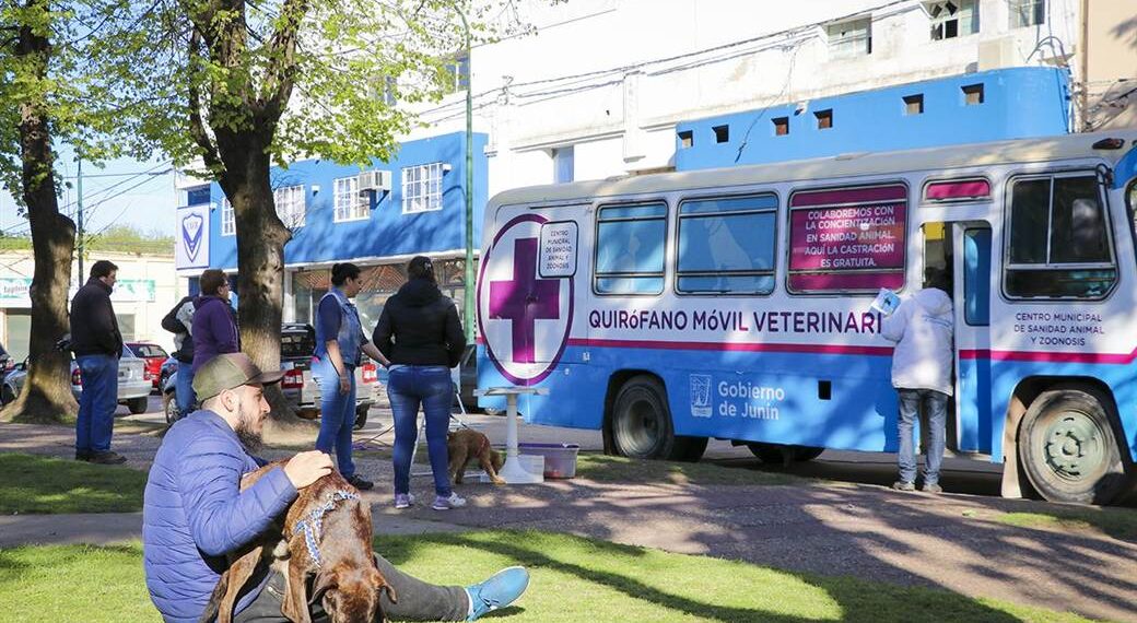 Destacan el trabajo sostenido que realiza el Centro Municipal de Sanidad y Zoonosis