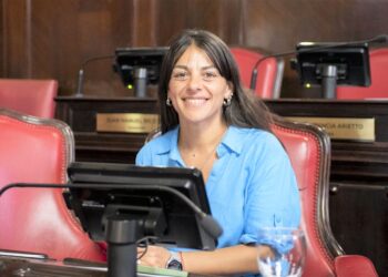 Alonso: “IOMA prácticamente no está  funcionando, no le da respuesta al afiliado”