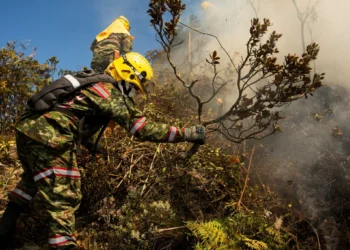 Declararán desastre natural  para atender ola de incendios