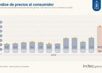 Cuáles fueron los rubros que más aumentaron en diciembre