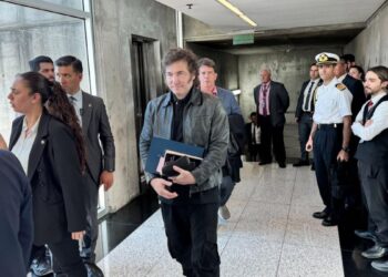 Milei emprende el retorno al país desde Davos tras participar en el Foro Económico Mundial