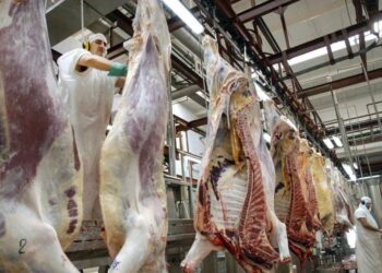 Qué pasará con el precio de la carne en medio de una feroz caída del consumo