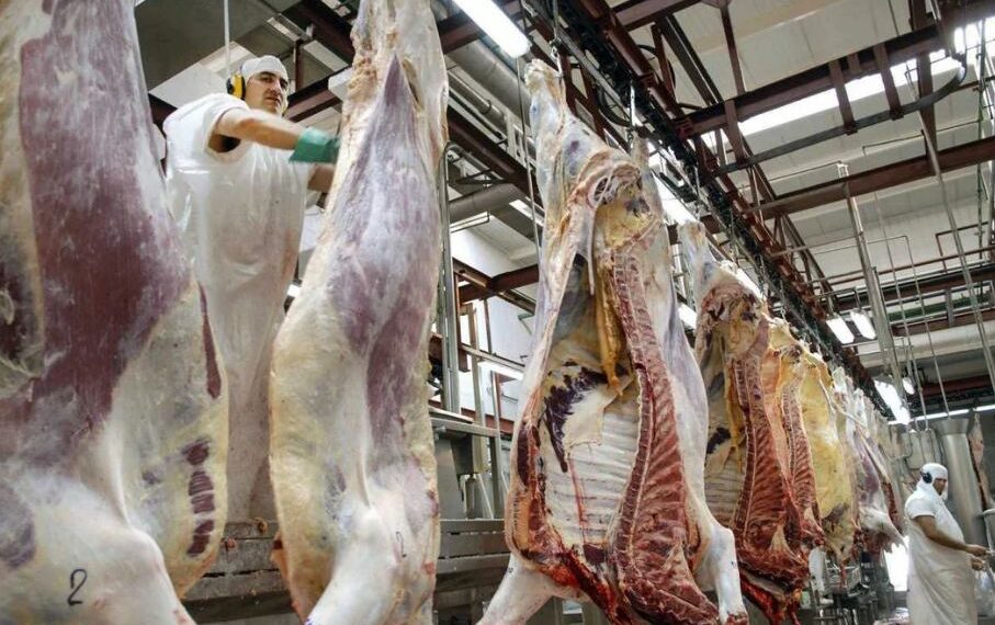 Qué pasará con el precio de la carne en medio de una feroz caída del consumo