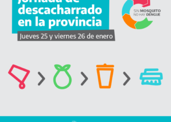 Dengue: jornadas de descacharrado intensivo en municipios