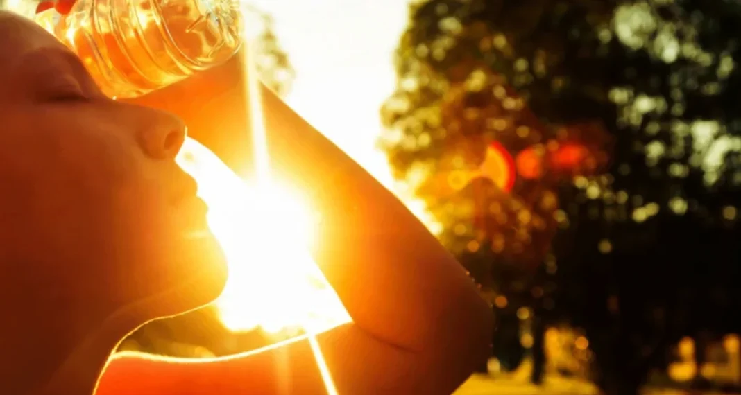 Ola de calor: las alertas se extienden a toda la provincia de Buenos Aires