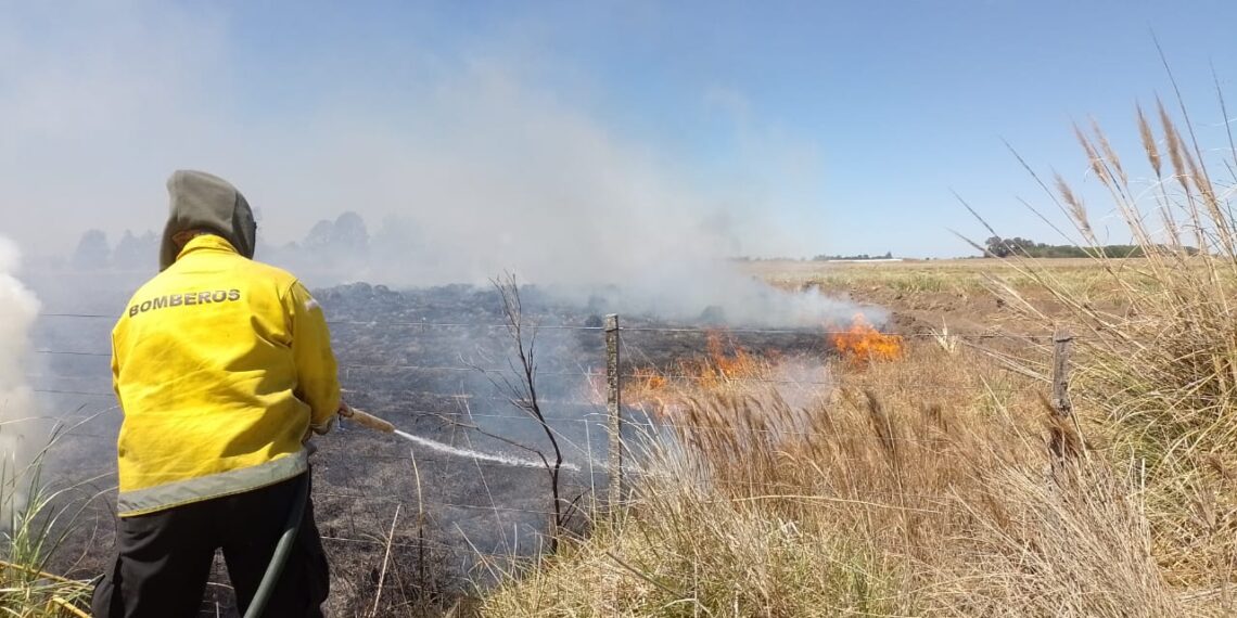 Durante el 2023, los bomberos tuvieron menos intervenciones