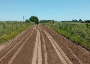 Intenso trabajo para el mantenimiento de los caminos rurales