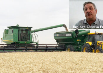 Finalizó la cosecha de trigo en Junín y hubo rindes muy dispares