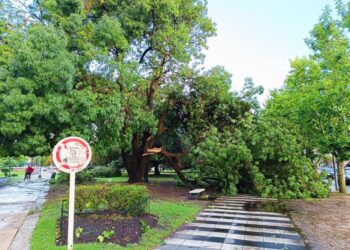 El temporal de viento, lluvia y granizo que azotó Miramar provocó la muerte de un joven de 18 años
