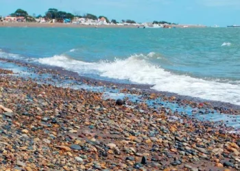 Arquitectura, historia y naturaleza: 4 visitas guiadas gratuitas para hacer en la provincia