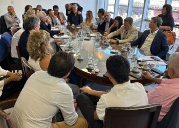 Advierten que el DNU «perjudica la esencia misma de la farmacia argentina»