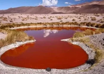 La magia del norte argentino: el salar más largo del mundo