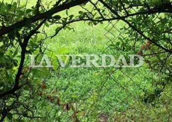 Otra entrada en el predio del Círculo Médico