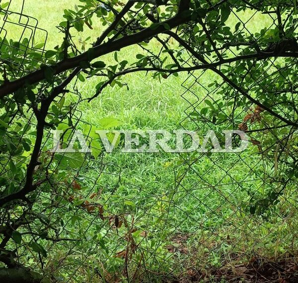 Otra entrada en el predio del Círculo Médico