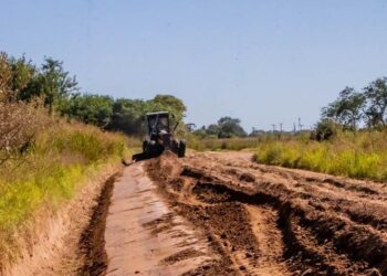 Llovet: » Está la maquinaria y el personal para un trabajo eficiente»