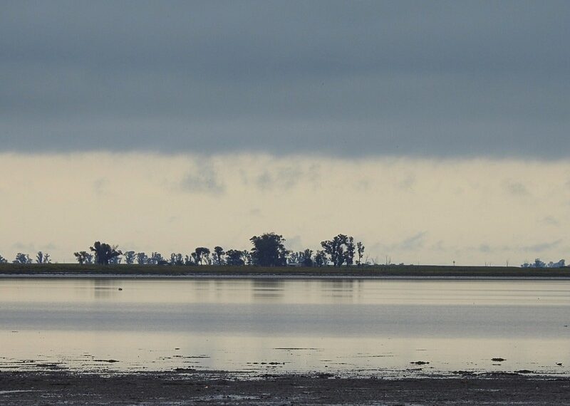 Laguna de Gómez: para que esté a cota  de vertedero falta más de un metro de agua