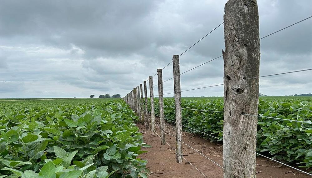 Una buena para el campo: volvieron las lluvias